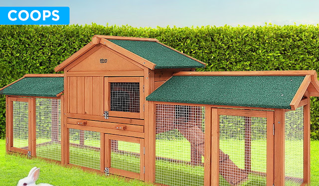 Chicken Coops and Cages