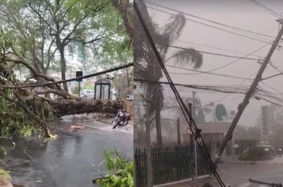 Temporal causa estragos e derruba árvores e postes em Lavras