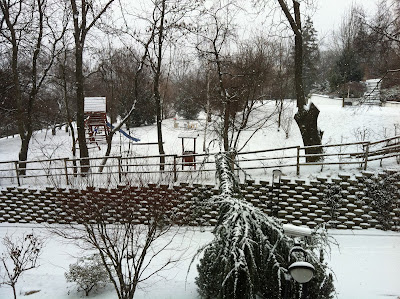 snowy garden perfect for playing in