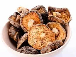 Dried Mushroom Supplier In Dahanu