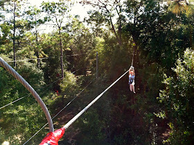 Tallahassee Museum Tree-to-Tree Adventure Zipline