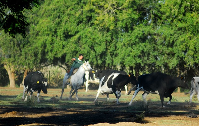 argentina052956mexarg