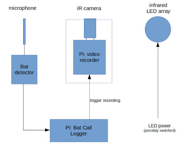 ultrasonic ultrasound video bat recorder