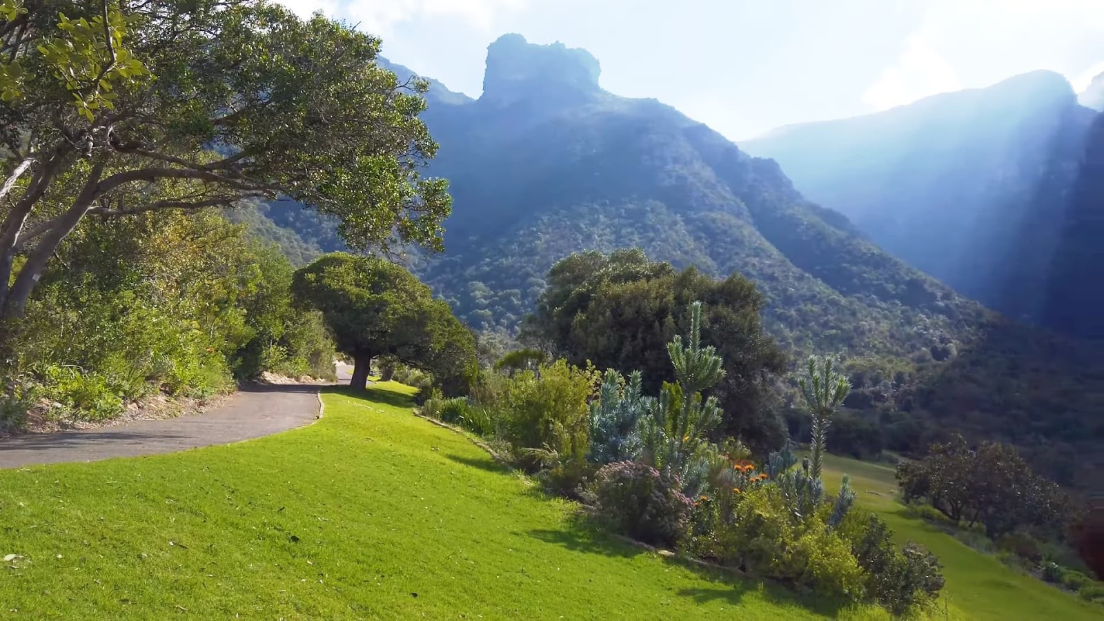 Kirstenbosch National Botanical Gardens