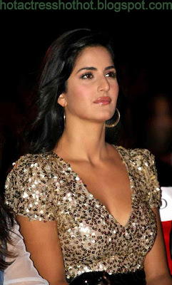 katrina kaif hot pics in silver top