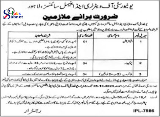 University of Veterinary & Animal Sciences UVAS Jobs 2023 (Non Teaching Staff)