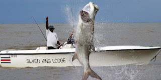 Fishing at Silver King Lodge in Costa Rica