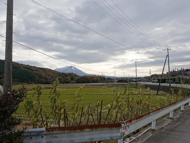 左手がつぼかめ山