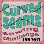 Curved Seams Challenge Homepage