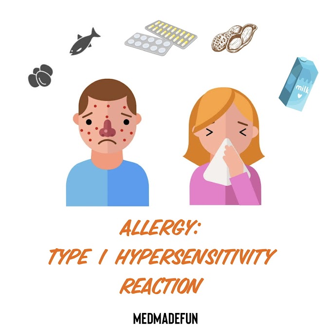 Allergy: Type 1 Hypersensitivity Reaction
