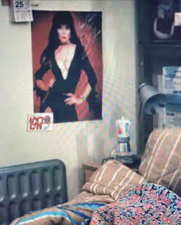 Elvira poster on Stranger Things