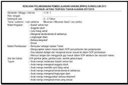 Administrasi RKH KB Kurikulum 2013 Semester 1 Minggu 9-16