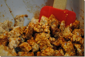 tempeh marinating