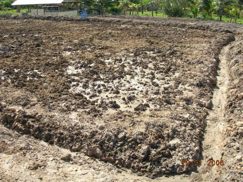 Penyebab Pencemaran Tanah Upaya dalam Mengatasi Pencemaran  Tanah  Secara Efektif 