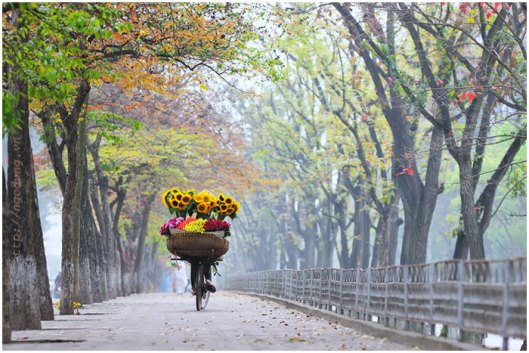 Kinh nghiệm khi đi du lịch Hà Nội