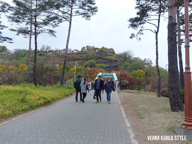 韓國, 景點, 首爾, 賞楓, 夜景, 天空公園,藍天公園,芒草