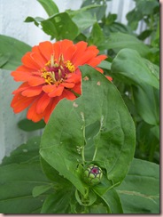 DSCN8208