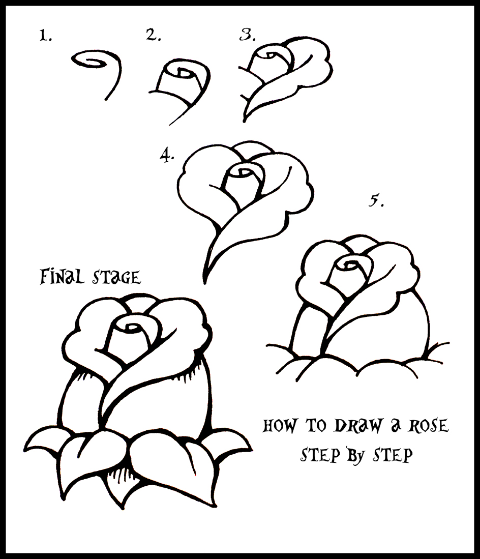  How to draw a rose by simple steps