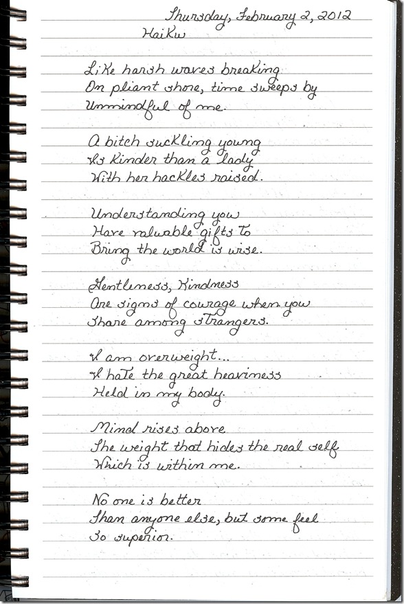 Journal 2-2-20120001