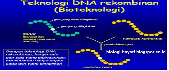 Teknologi DNA ekombinan