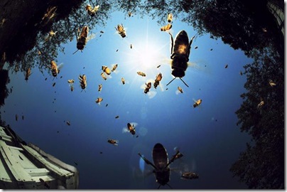amazing_nature_photographs_640_03