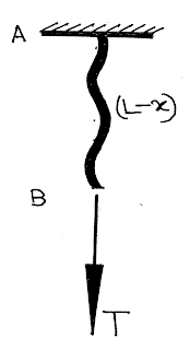 Free Body Diagram, Mechanics, Newton's Law