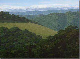 cuadros-panoramas-naturales