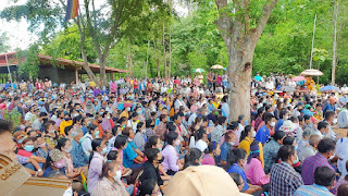 ตะเคียนยักษ์ 700 ปีโผล่น้ำยม