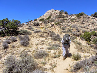 Climbing west toward Warren Point, Black Rock, Canyon, Joshua Tree National Park