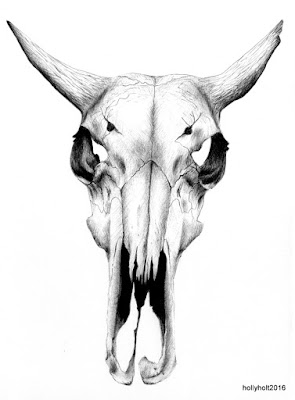 ballpoint drawing of a cow skull by holly holt