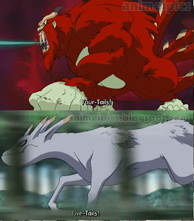 Four and Five Tails
