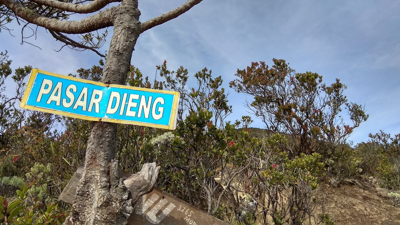 Jalur Pendakian Gunung Lawu via Candi Cetho - Tenda Inspirasi