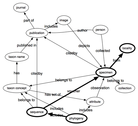 Phylogeography