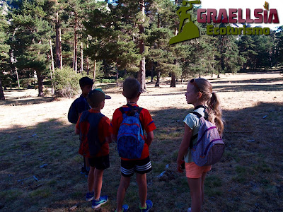 Campamento de verano en la naturaleza