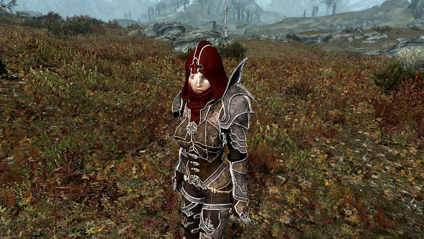 Custom armor for The Elder Scrolls V Skyrim