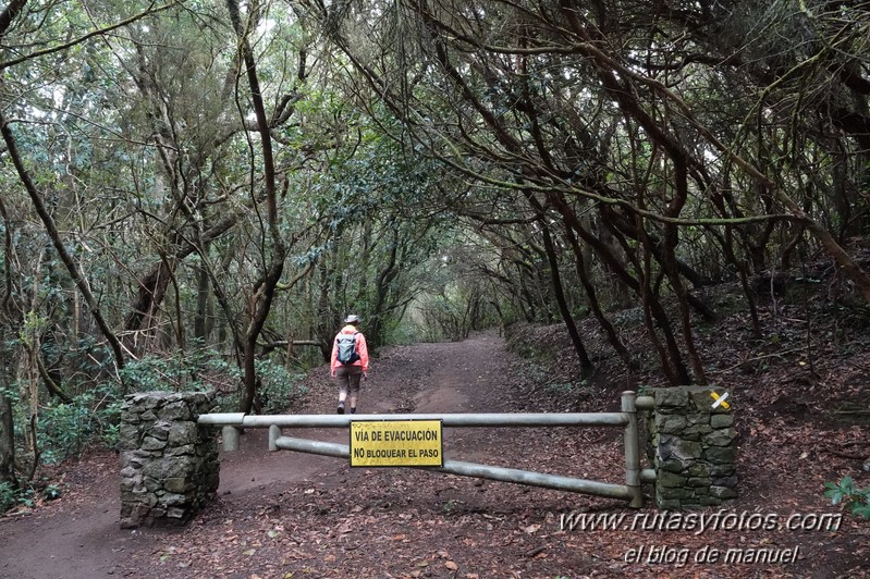 Sendero de los Sentidos - Sendero de los Enigmas