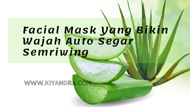 Nu Face Facial Mask Revitalizing