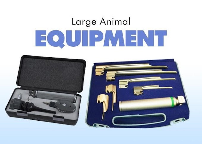 How To Choose the Best Large Animal Equipment for Surgeries?