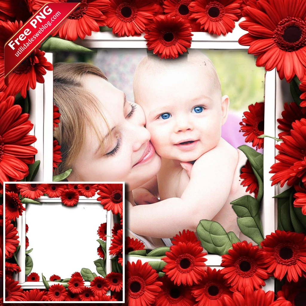 marco para fotos con flores de gerberas rojas en png con fondo transparente para descargar gratis
