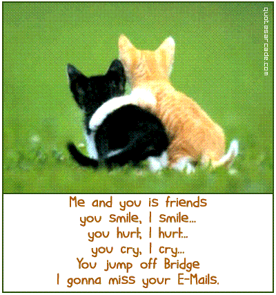 best friends quotes funny. funny quotes on life and love.