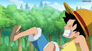 ワンピースアニメ 499話 幼少期 ルフィ かわいい Monkey D. Luffy | ONE PIECE Episode 499 ASL