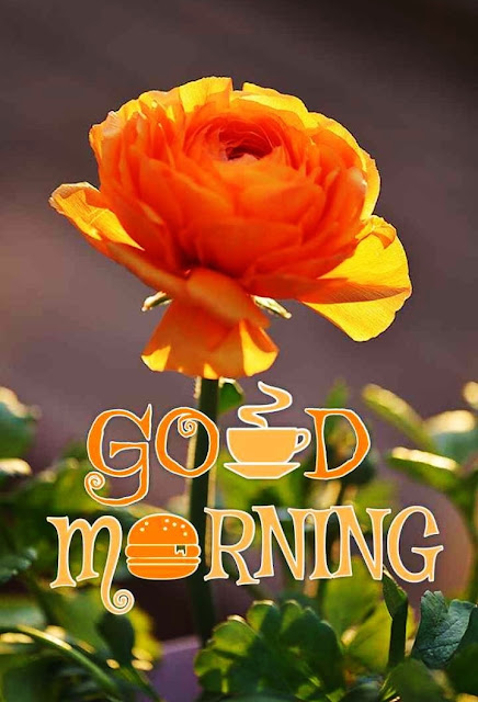 High Quality Good Morning Image New Style