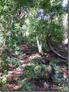P1050635