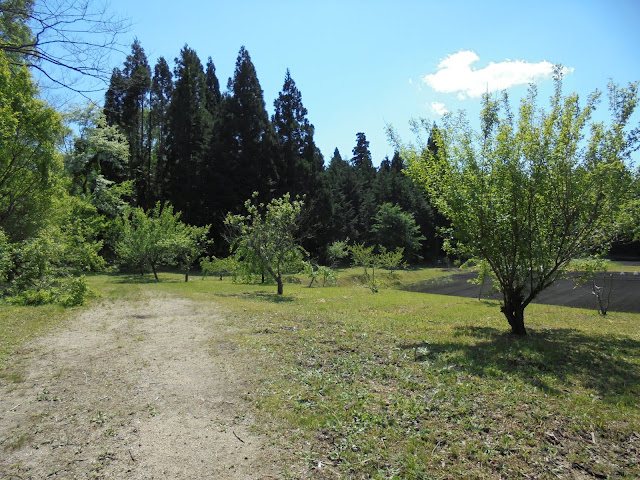 ２８４の大山寺岸本線の付近の庭園