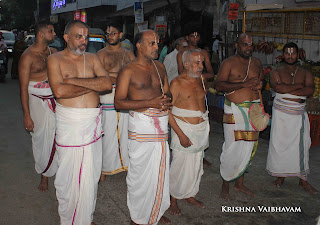 Sri Parthasarathy Perumal,Ekadesi,Purappadu, Chithirai, Triplicane,   Thiruvallikeni, Utsavam