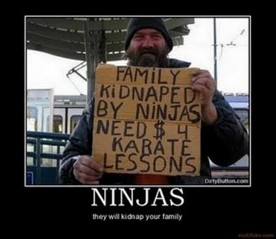 Funny Ninja posters-Ninja demotivators