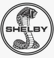 http://adclickearning.blogspot.in/2014/07/shelby.html