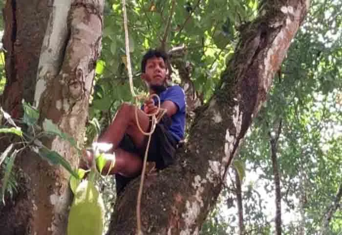 News, Kerala-News, Kerala, Idukki-News, Case, Complaint, Youth, Suicide Threat, Police, Forest Department, Tribal Youth, News-Malayalam, Idukki: Tribal Youth Poses Suicide Threat.