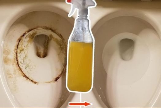 Super clean toilets: remove yellow stains and limescale, disinfect them and perfume them with 1 ingredient