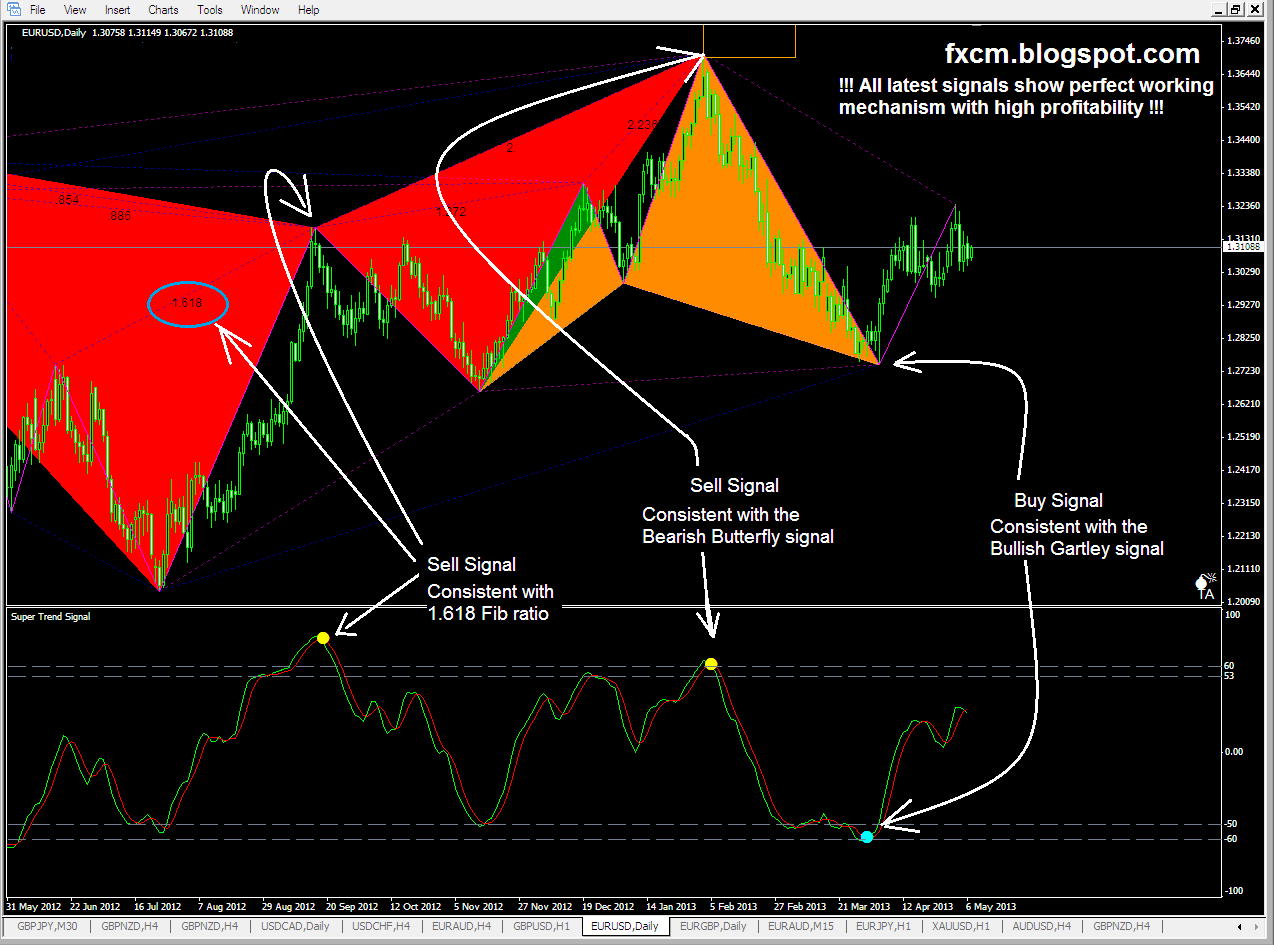 forex super dolphin dotcom